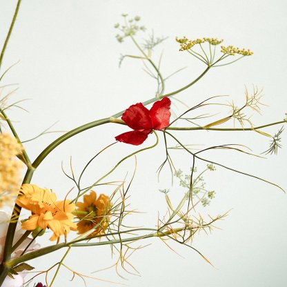 Seasonal Bouquet in Hot Tones | That Flower Shop Signature Arrangement