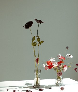 Pair of Seasonal Vase Arrangements | That Flower Shop