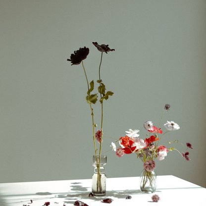 Pair of Seasonal Vase Arrangements | That Flower Shop