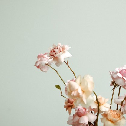 English Roses | That Flower Shop | Seasonal Flowers, Bouquets & Arrangements