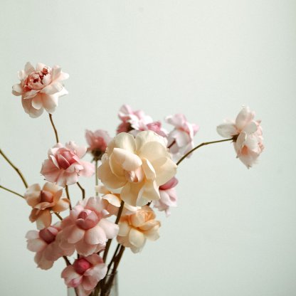English Roses | That Flower Shop | Seasonal Flowers, Bouquets & Arrangements