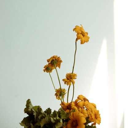 Keia's Choice | That Flower Shop | Seasonal flowers, bouquets and arrangements