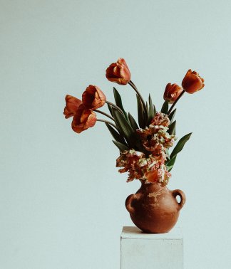 Natural Selection | That Flower Shop | Seasonal flowers, bouquets and arrangements