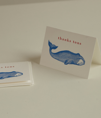 Archivist Letterpress Greeting Card | Pack of 5 Thank You Cards