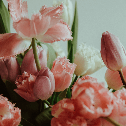 Spring Tulip Bouquet - 30 stems